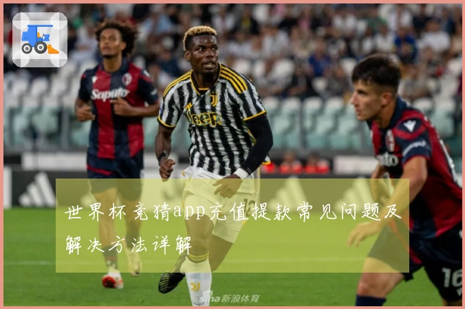世界杯竞猜app充值提款常见问题及解决方法详解