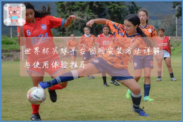 世界杯买球平台官网安装方法详解与使用体验推荐