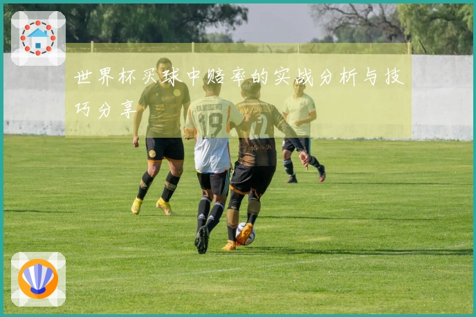 世界杯买球中赔率的实战分析与技巧分享