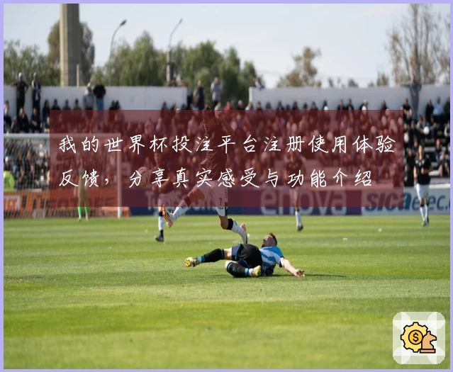 我的世界杯投注平台注册使用体验反馈，分享真实感受与功能介绍
