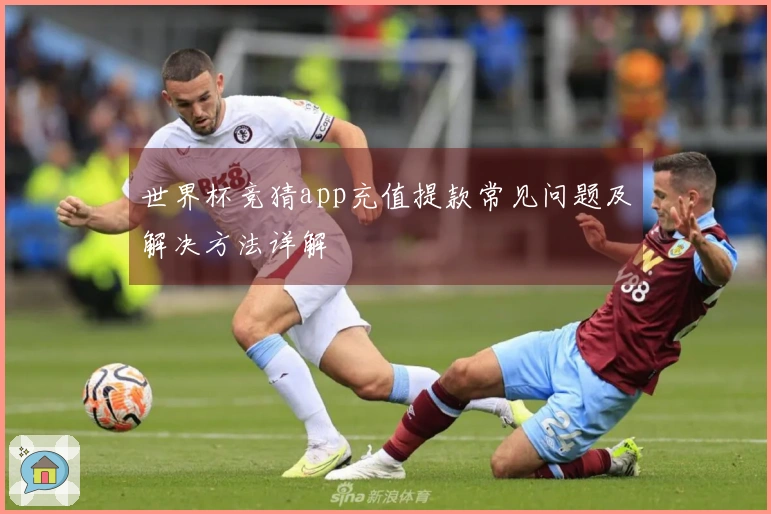 世界杯竞猜app充值提款常见问题及解决方法详解