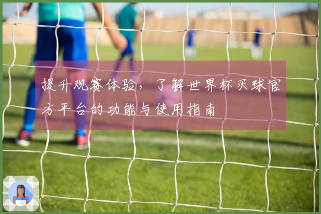 提升观赛体验，了解世界杯买球官方平台的功能与使用指南