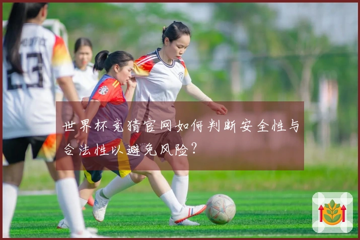 世界杯竞猜官网如何判断安全性与合法性以避免风险？