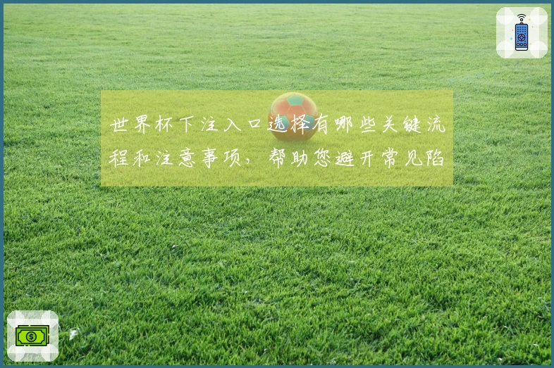 世界杯下注入口选择有哪些关键流程和注意事项，帮助您避开常见陷阱