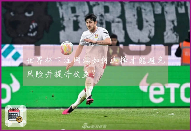 世界杯下注网站如何选择才能避免风险并提升收益？