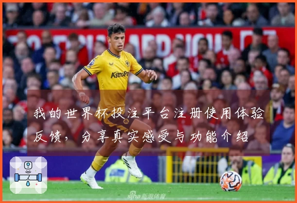 我的世界杯投注平台注册使用体验反馈，分享真实感受与功能介绍