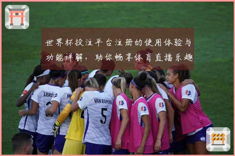 世界杯投注平台注册的使用体验与功能详解,助你畅享体育直播乐趣