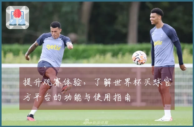 提升观赛体验，了解世界杯买球官方平台的功能与使用指南