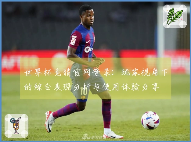 世界杯竞猜官网登录：玩家视角下的综合表现分析与使用体验分享